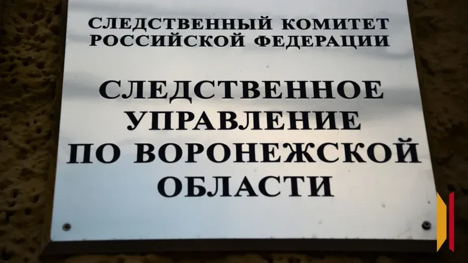 СК организовал проверку после гибели 69-летнего мужчины в пожаре в Костенках