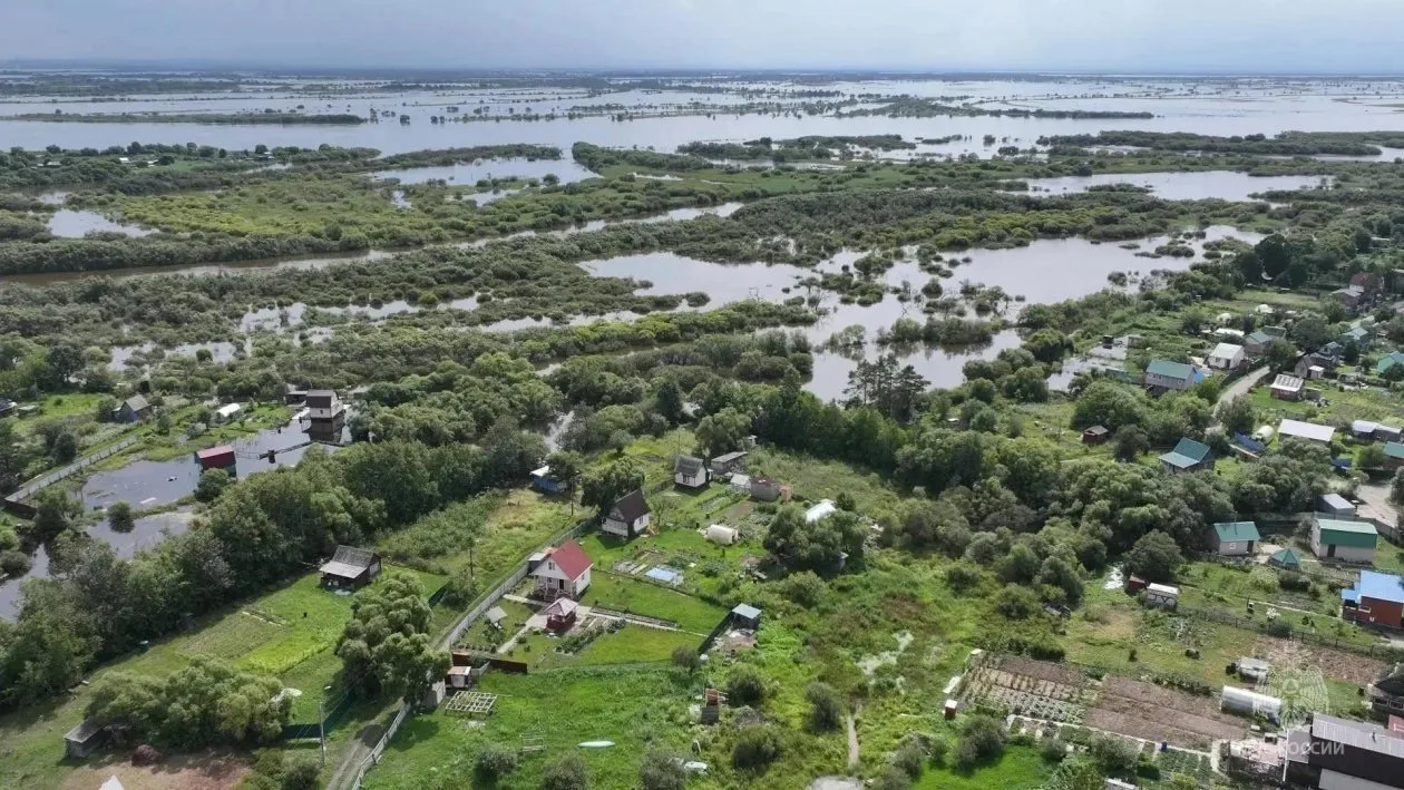В ЕАО прогнозируется новый подъем уровня воды в Амуре из-за обильных осадков в верхнем ...