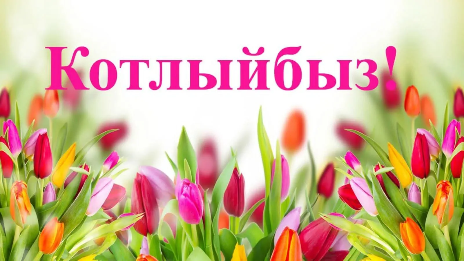 Чуашстан  татарлары милли-мәдәни берләшмәсе исеменнән Комсомол муниципаль округы Урмай ...