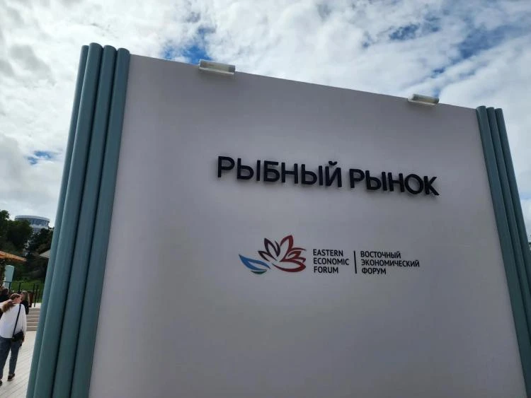 Вкус Дальнего Востока: чем кормят гостей ВЭФ-2026 на рыбном рынке
