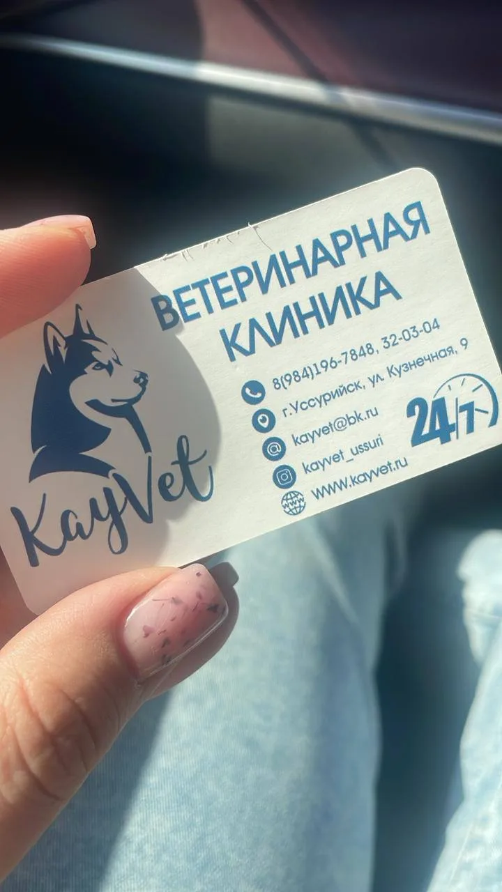 #нам_пишут #хвостикиПограничный   Поможем щенку  Эта найденная девочка заражена энтеритом. Это очень