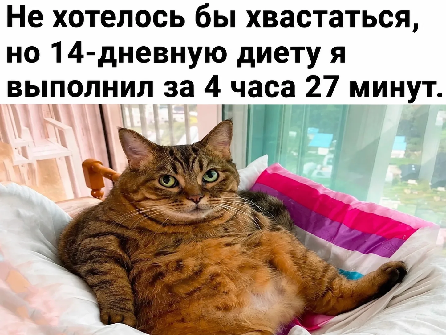 Я пока худею по системе «главное — не набрать обратно всё, что уже скинула» 😂