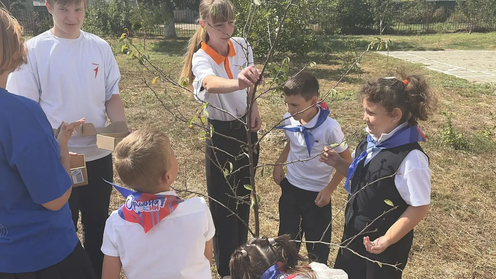 🤗Маленькие помощники: наши школьники защитили деревья от улиток🌿
