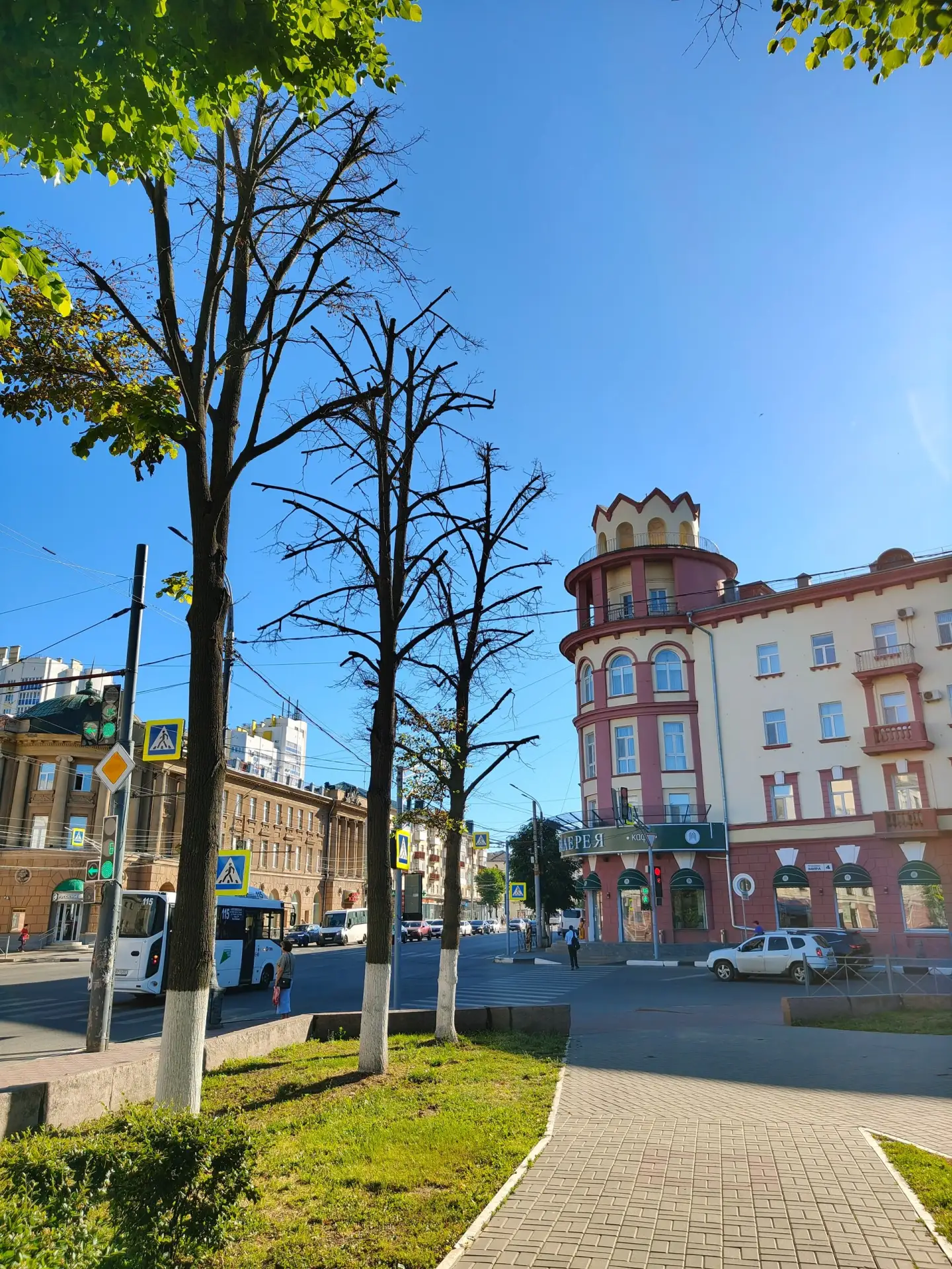 Жаркий летний день. В сквере Танкистов гибнут деревья. Однажды они были "кронированы" б...