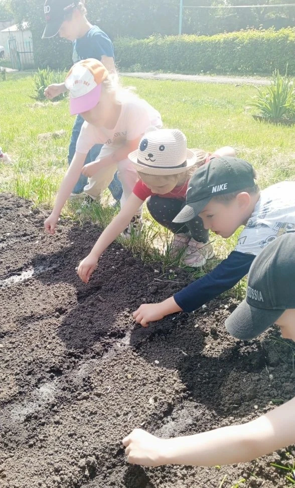 Огород на участке детского сада — одно из условий для осуществления экологического воспитания детей,