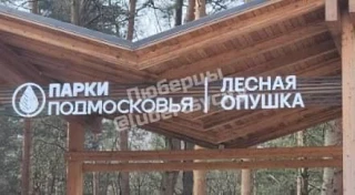 В Люберцах началась вторая очередь благоустройства парка «Лесная опушка»  Возводят летнюю сцену, пам