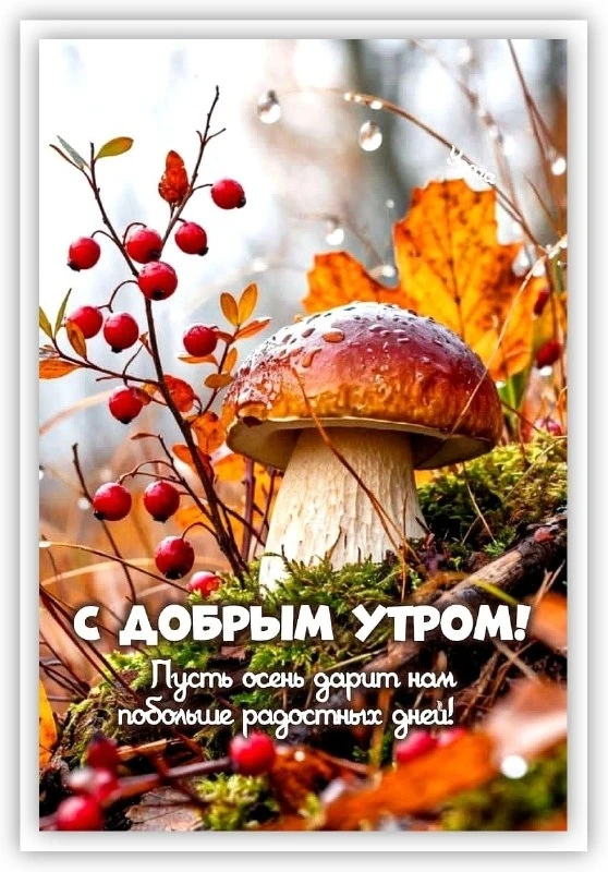 Открытки: подписаться ❤️