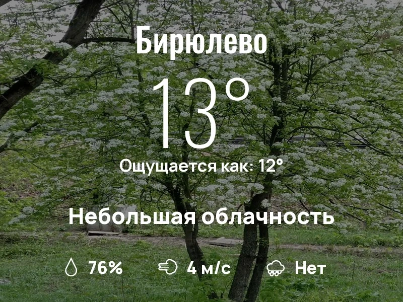 Что с погодой в Бирюлево?