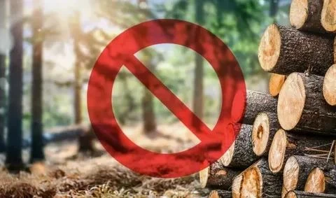 🌳 Административная ответственность за отчуждение древесины, заготовленной для собствен...