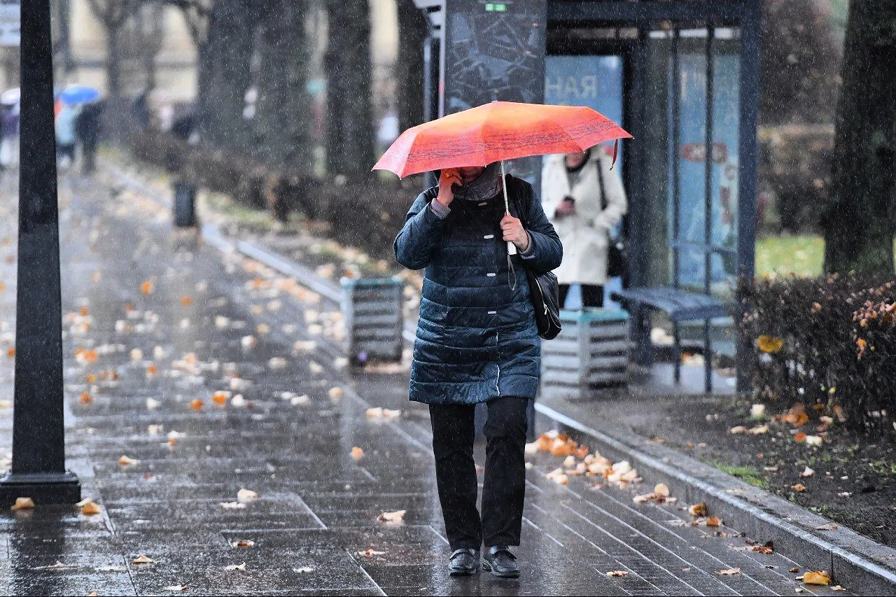 🌧 Вместо костров рябин — циклон с Балтики: 3 сентября в Петербурге пошло не по плану