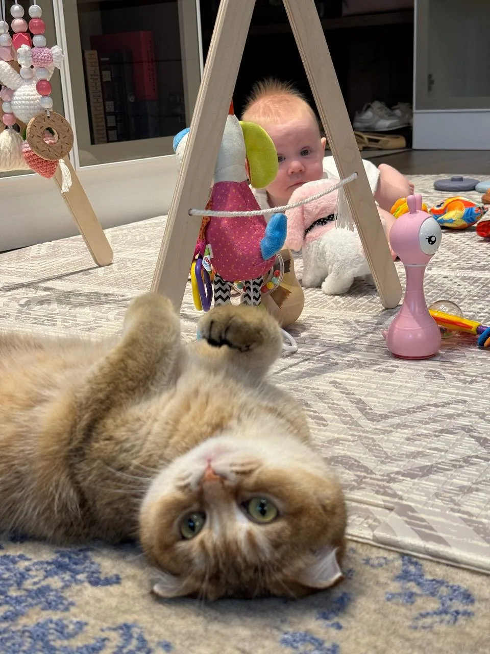Ползущая с котами (с)