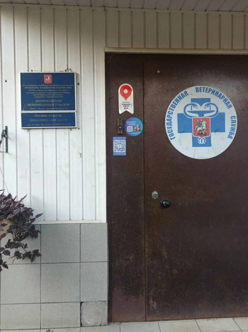 💡 Привить животных от бешенства мы можем в любой момент у соседей на Сиреневом бульвар...