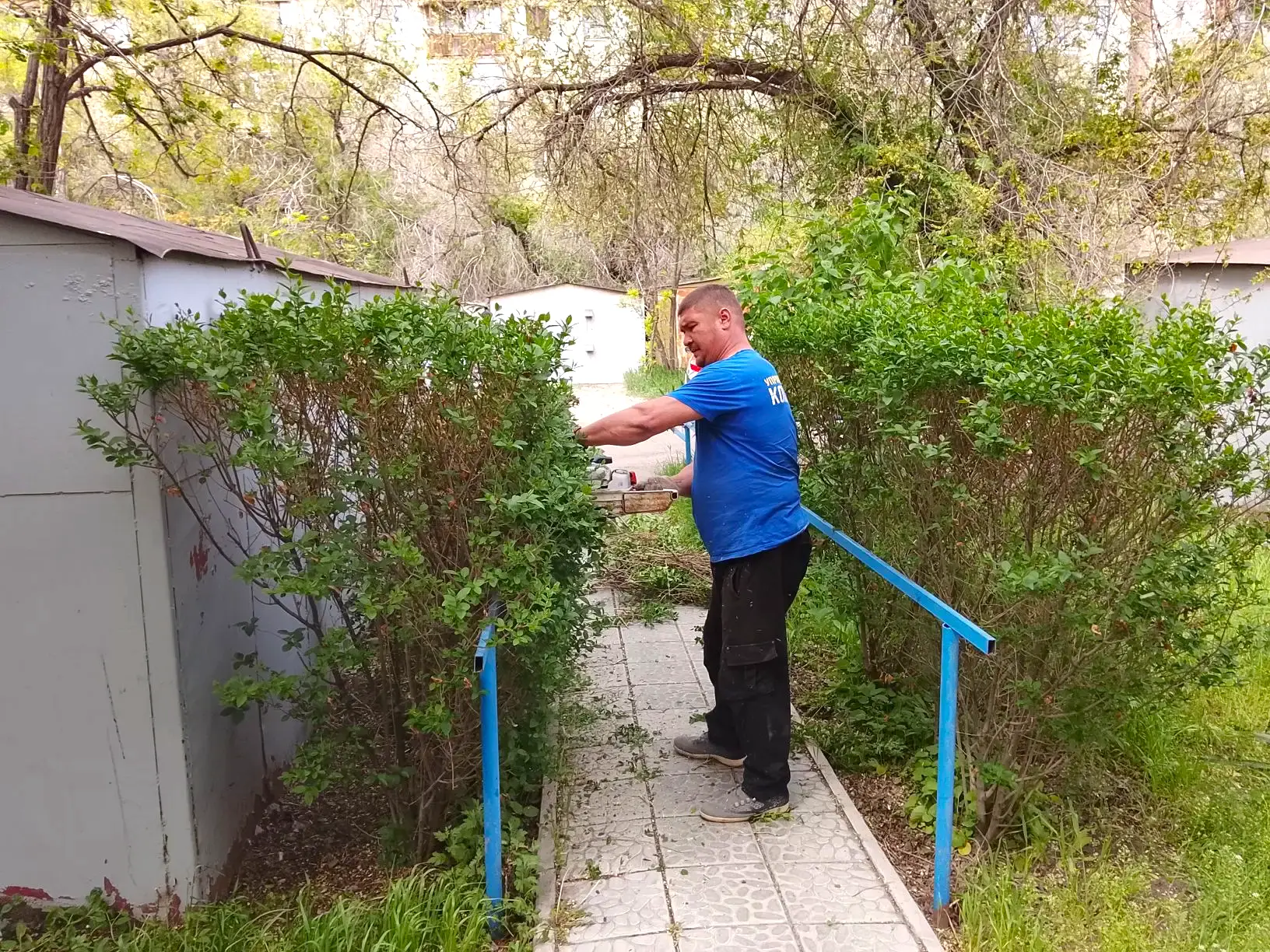 К новости «🌿 Зеленая геометрия двора!»
