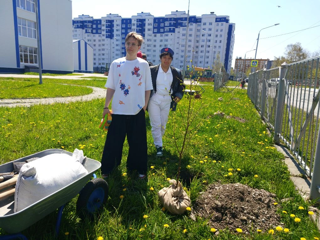 🌳 Живая традиция: аллея выпускников!   Каждый год в День детства на школьном дворе нашей гимназии пр