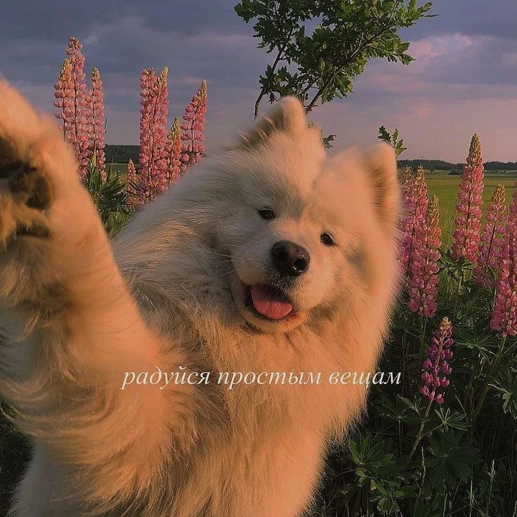 радуйся простым вещам 🫶🏻