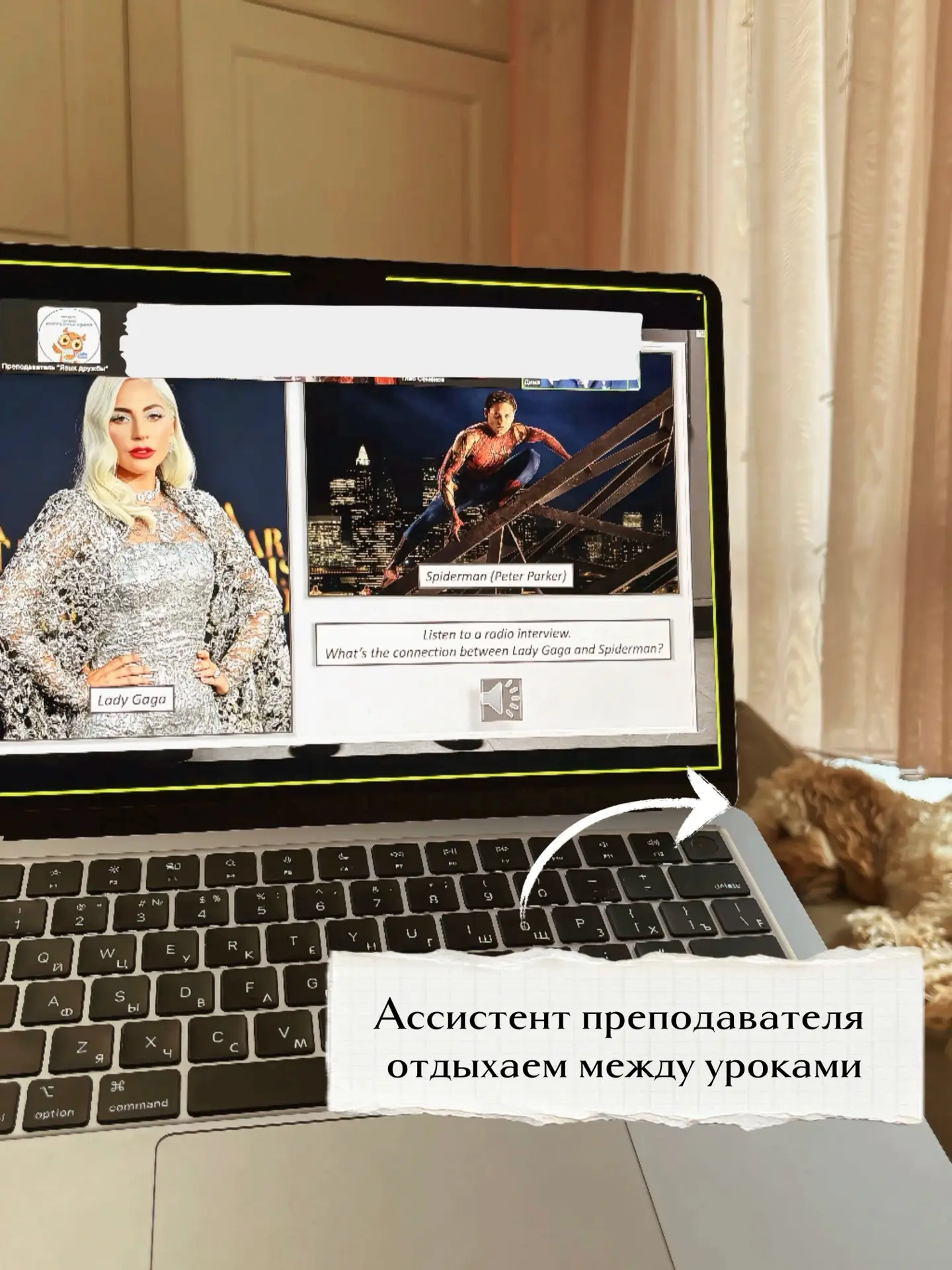 Когда расписание? 📅