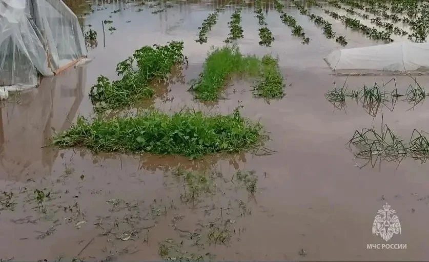 🚜 После сильных ливней в деревне Нижнее Алопово под воду ушли дачные и приусадебные участки.

Из-за