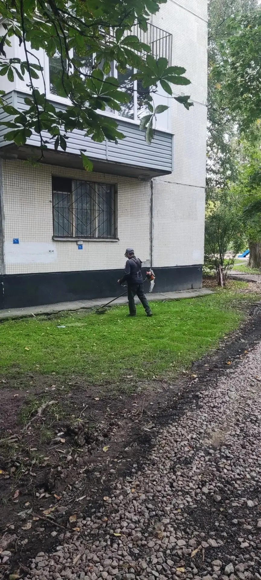 С первого взгляда его можно и не заметить 👀