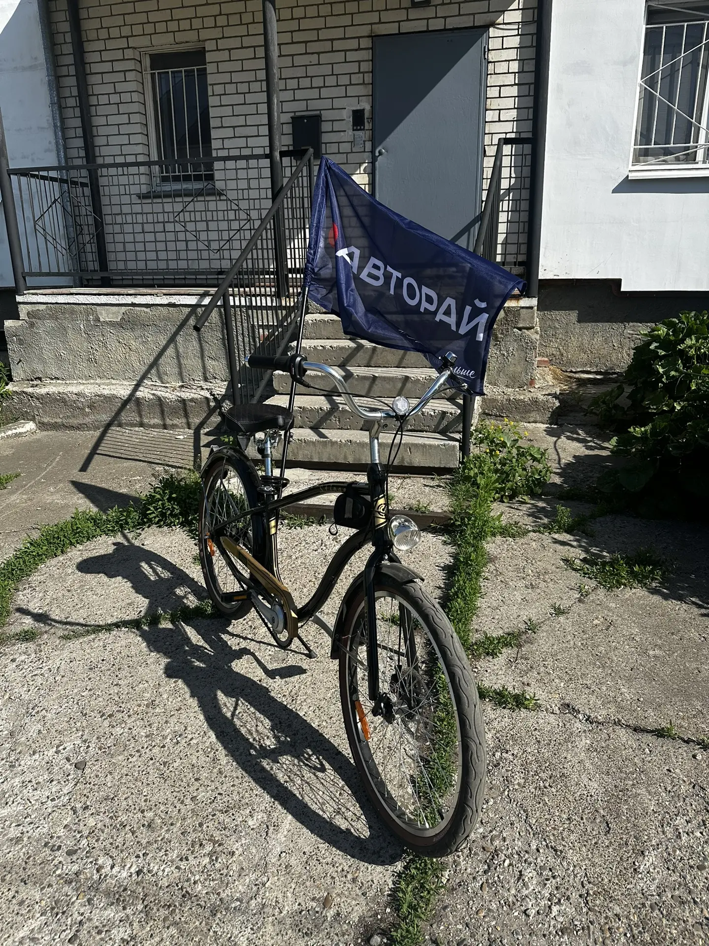 Мой Расенант на сегодня с флагом:))) Будем штурмовать ветряные мельницы (да, да, я прод...