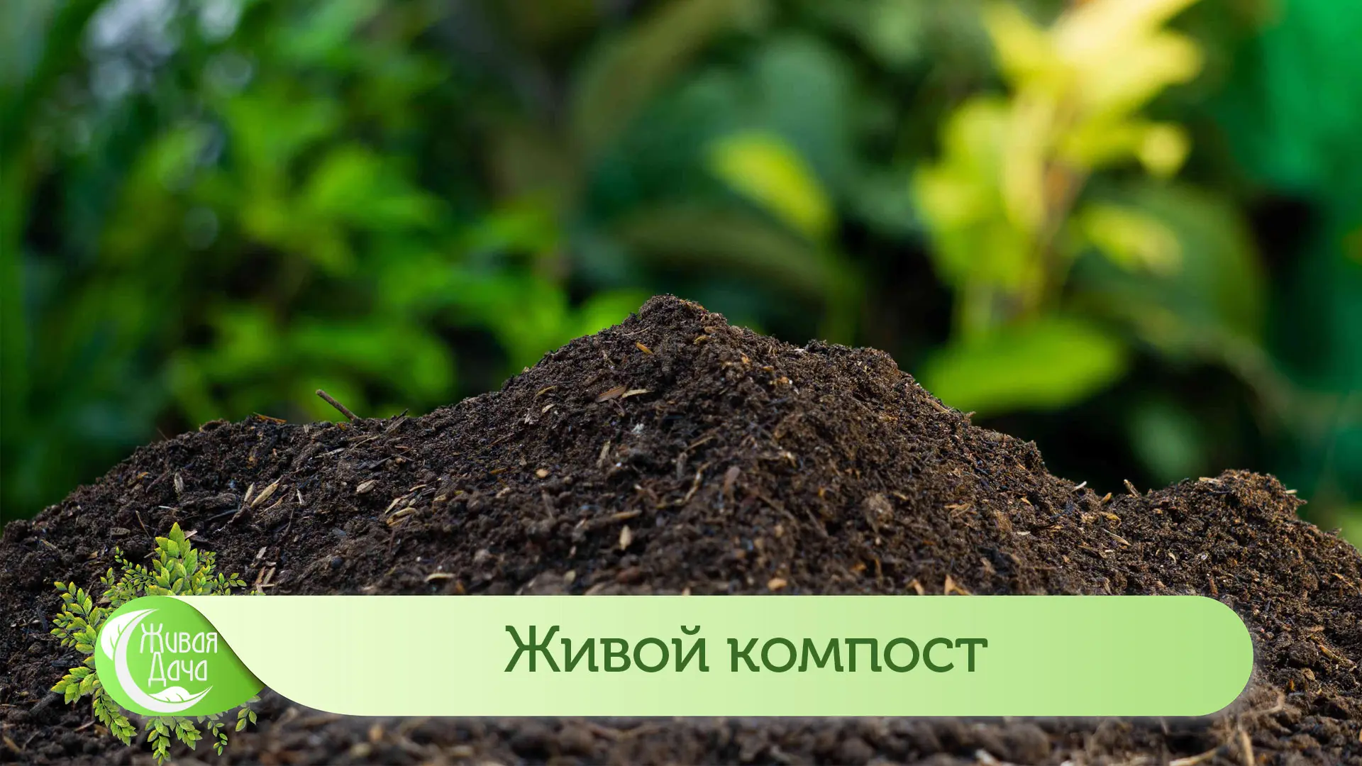 Живой компост