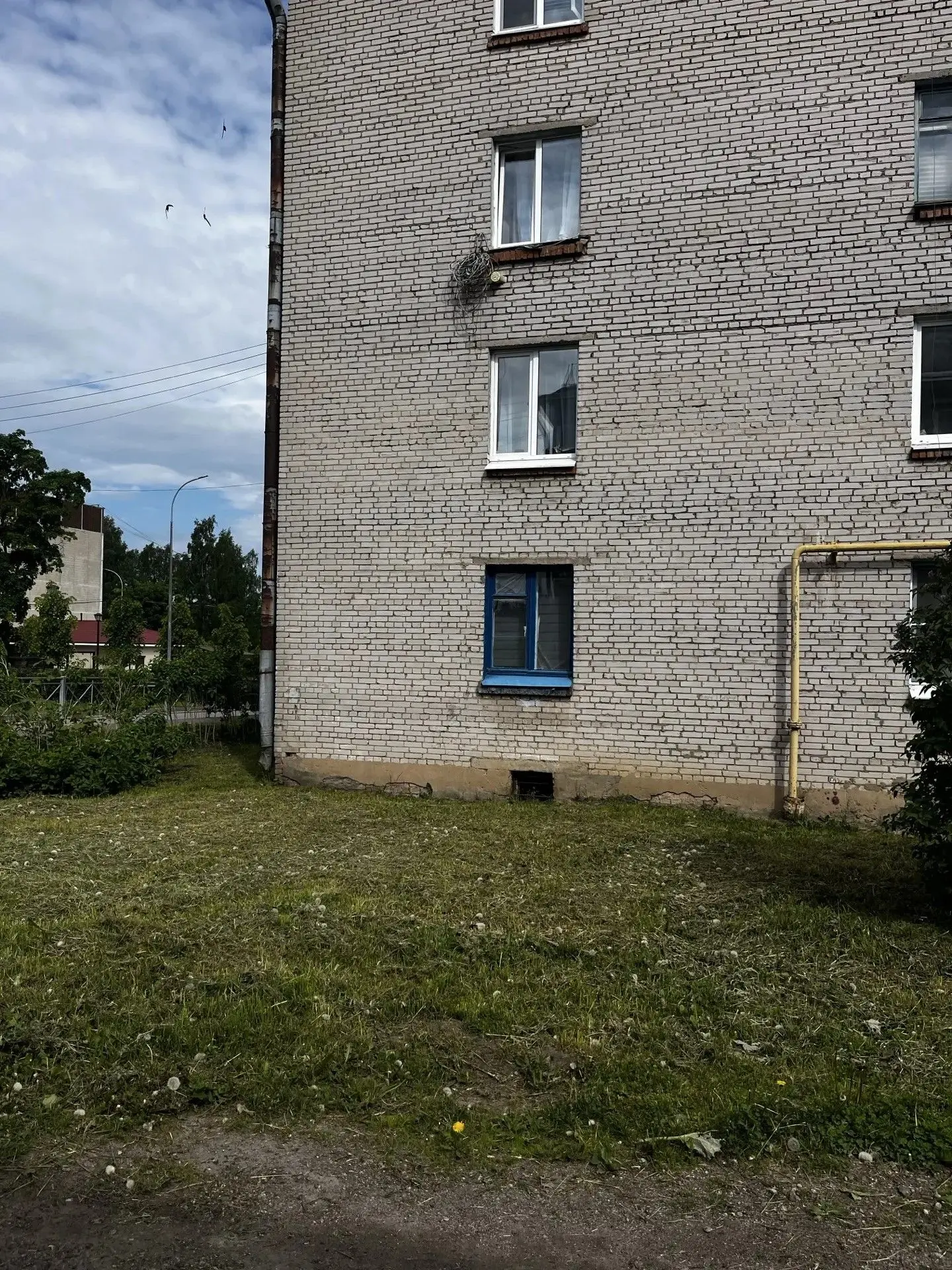 Покос в Пудомягском ТУ.