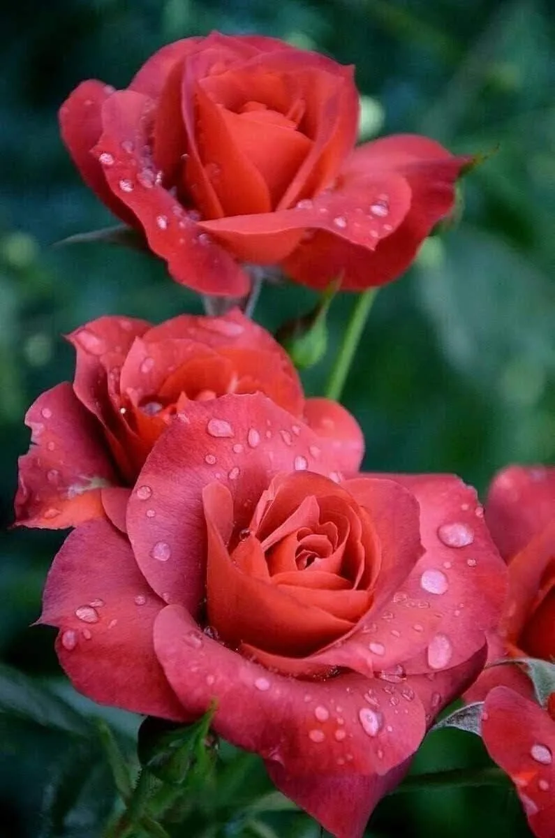 Цените тех, кто дарит вам свое время, свое тепло и свою любовь ❤️

................~*~..............