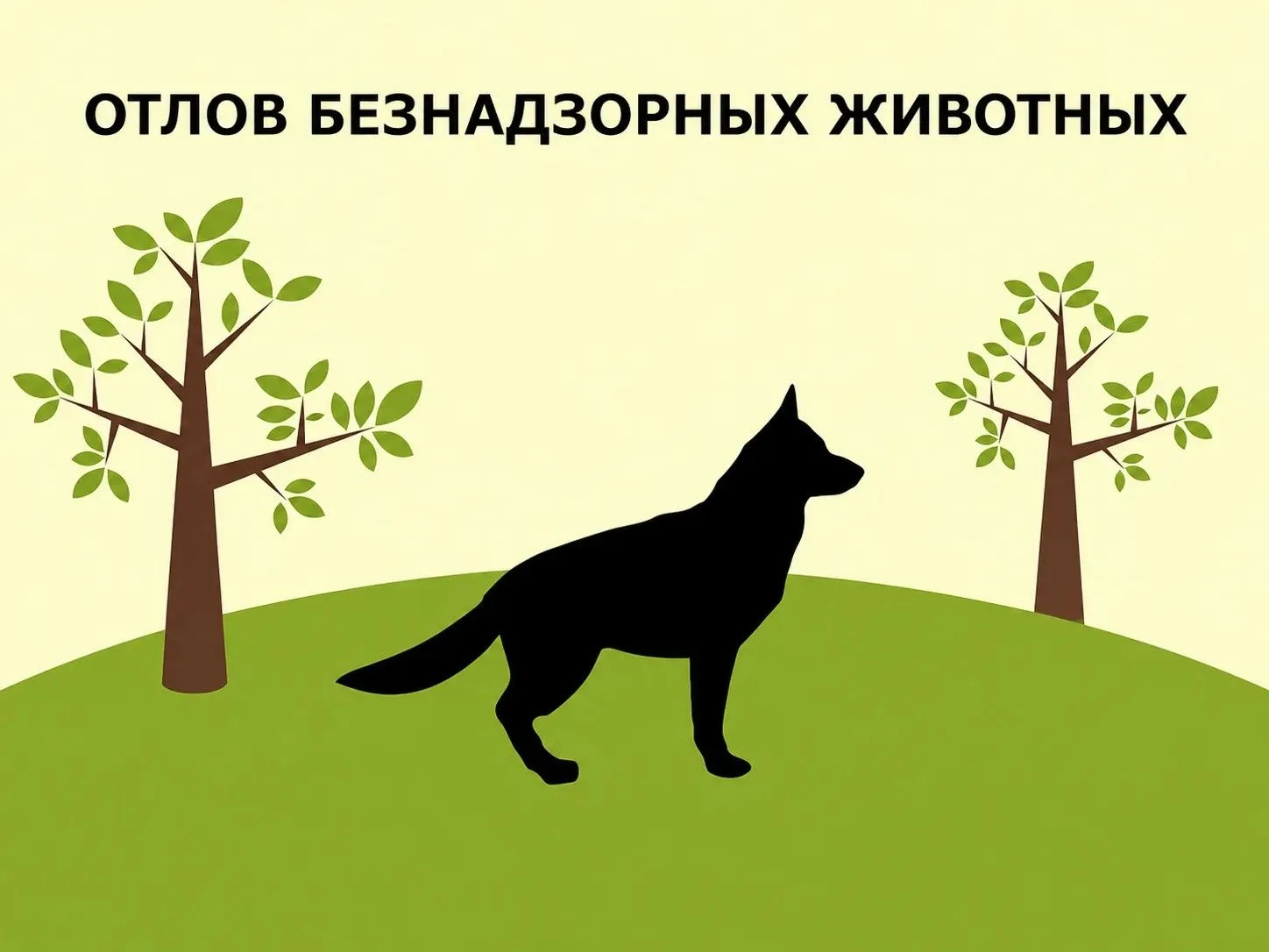 ⚠️Внимание: отлов животных без владельцев