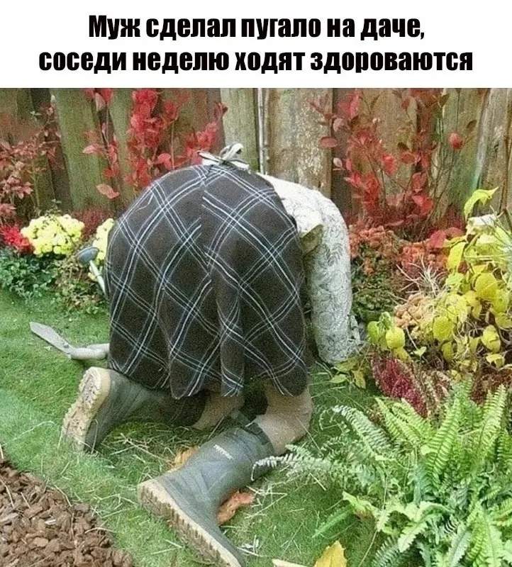Хорошо, когда соседи культурные!)