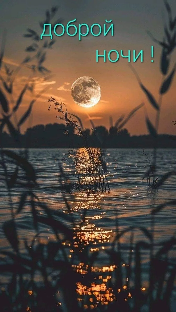 🩷🌙 Доброй ночи, дорогие читатели!