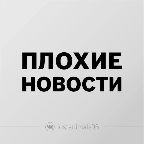 *** ПЛОХИЕ НОВОСТИ ***