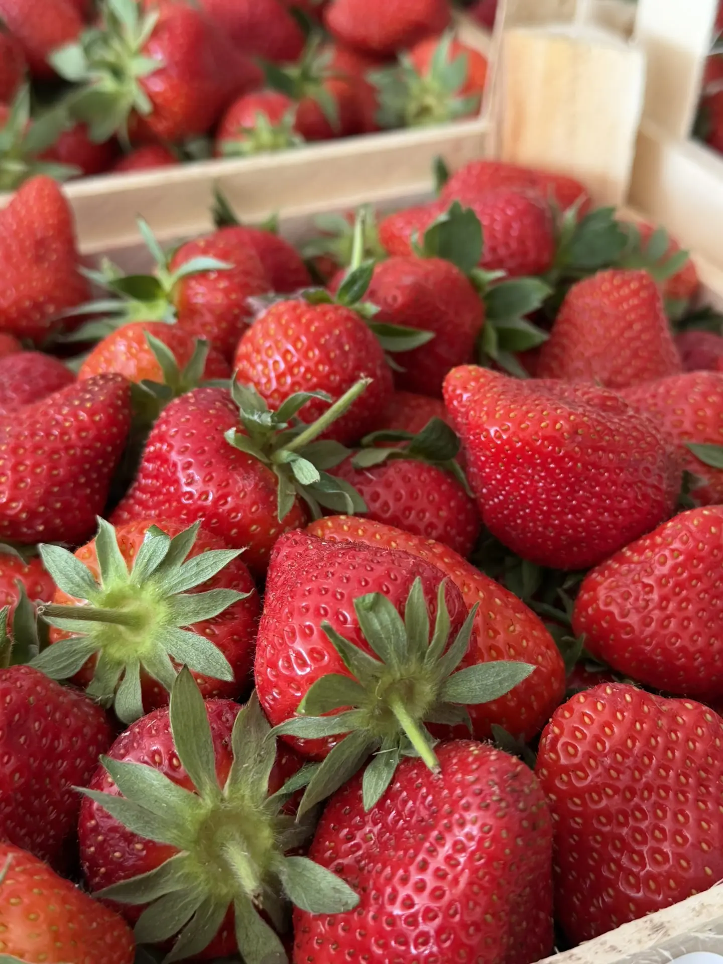 🍓 КЛУБНИКА ИЗ КЫРГЫЗСТАНА УЖЕ  ВО ВСЕХ МАГАЗИНАХ «ПЕРВЫЙ ЯГОДНЫЙ» 🍓  🧺 Продажа ящиками по ≈ 2 кг Цен