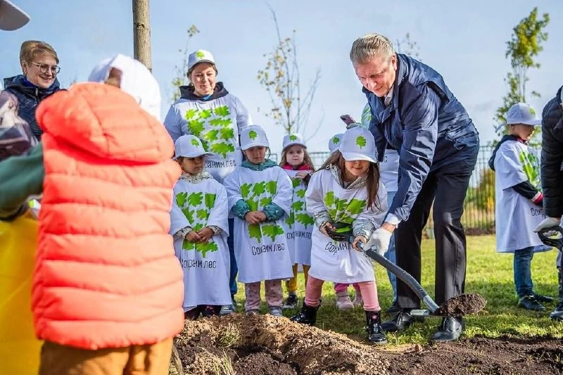 🌳 В округе высадили молодые клёны