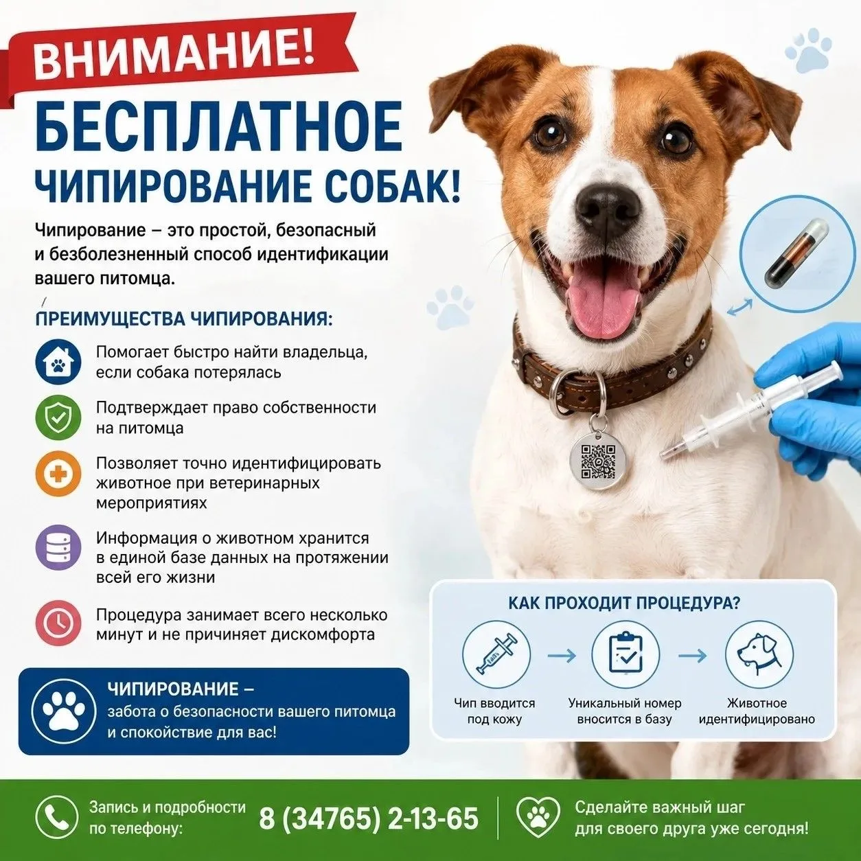 ВНИМАНИЕ! БЕСПЛАТНОЕ ЧИПИРОВАНИЕ СОБАК! 
Уважаемые владельцы домашних питомцев!
ГБУ Кармаскалинская 