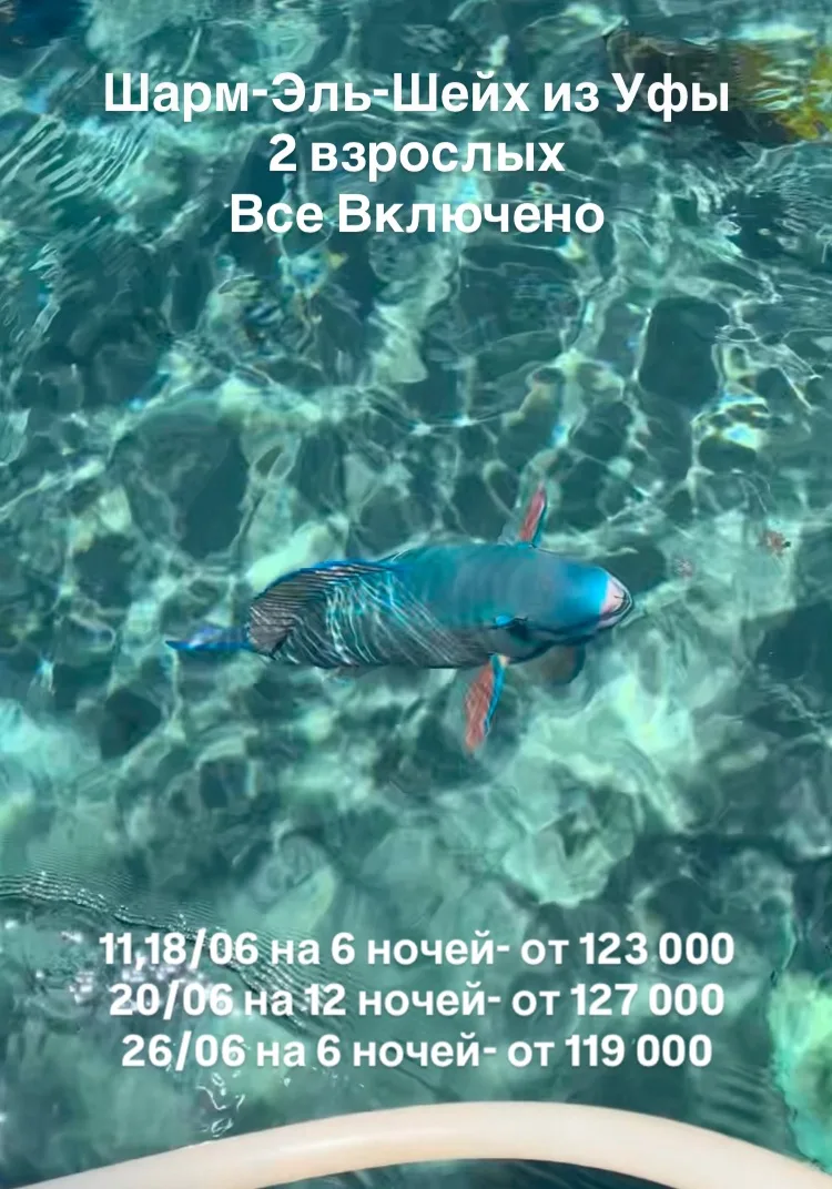 💥 ❓А Вы знали, что пирамиды изначально сверкали.