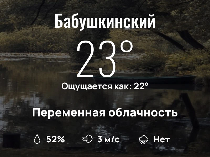 Что с погодой в Бабушкинском?