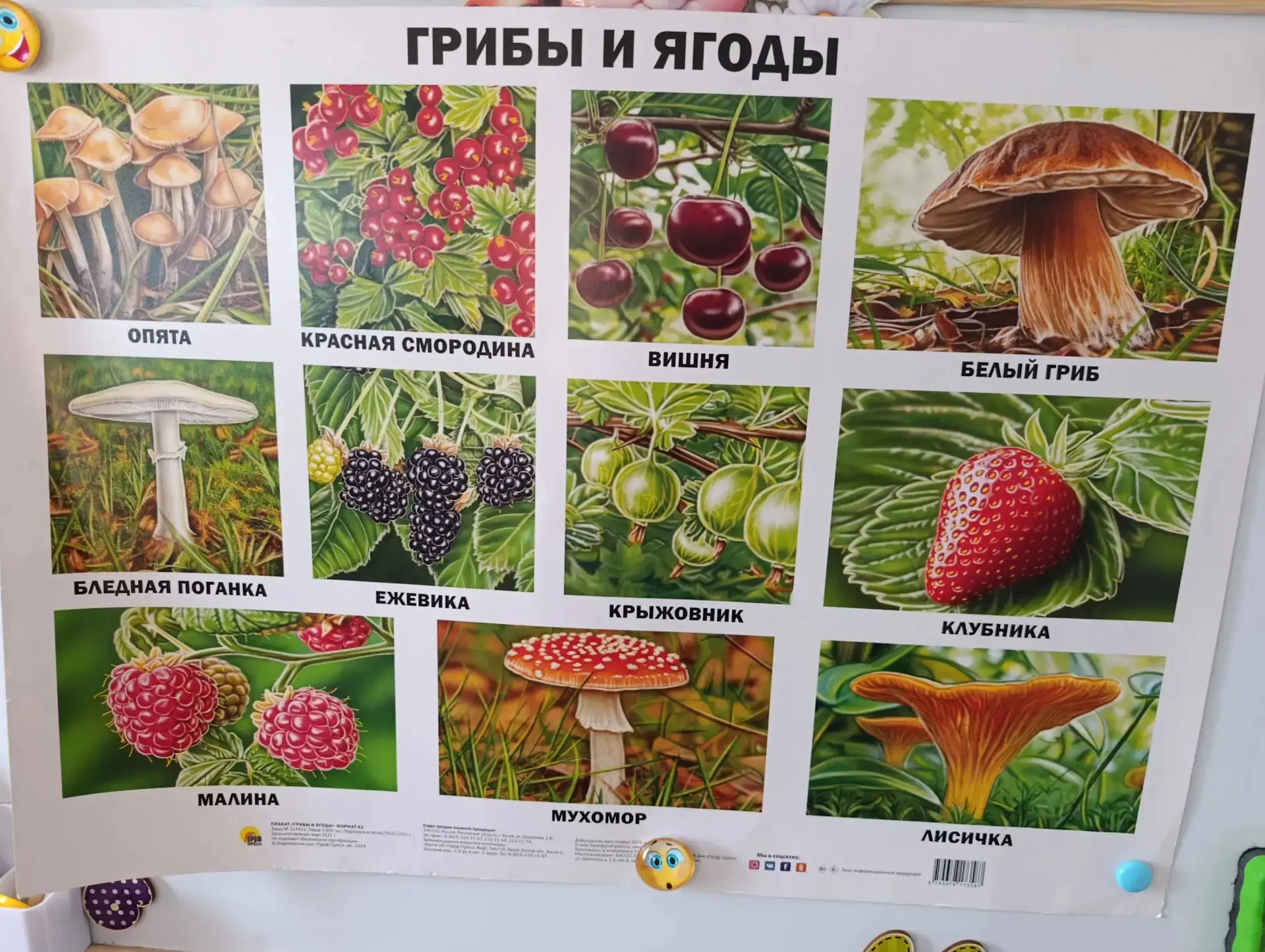 Осторожно, опасно для жизни: как в детском саду учат безопасности!