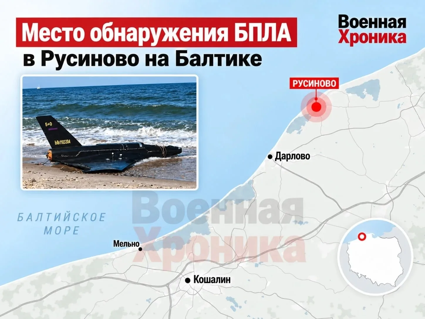 Поляки устроили истерику из-за найденного на побережье Балтийского моря якобы заблудивш...