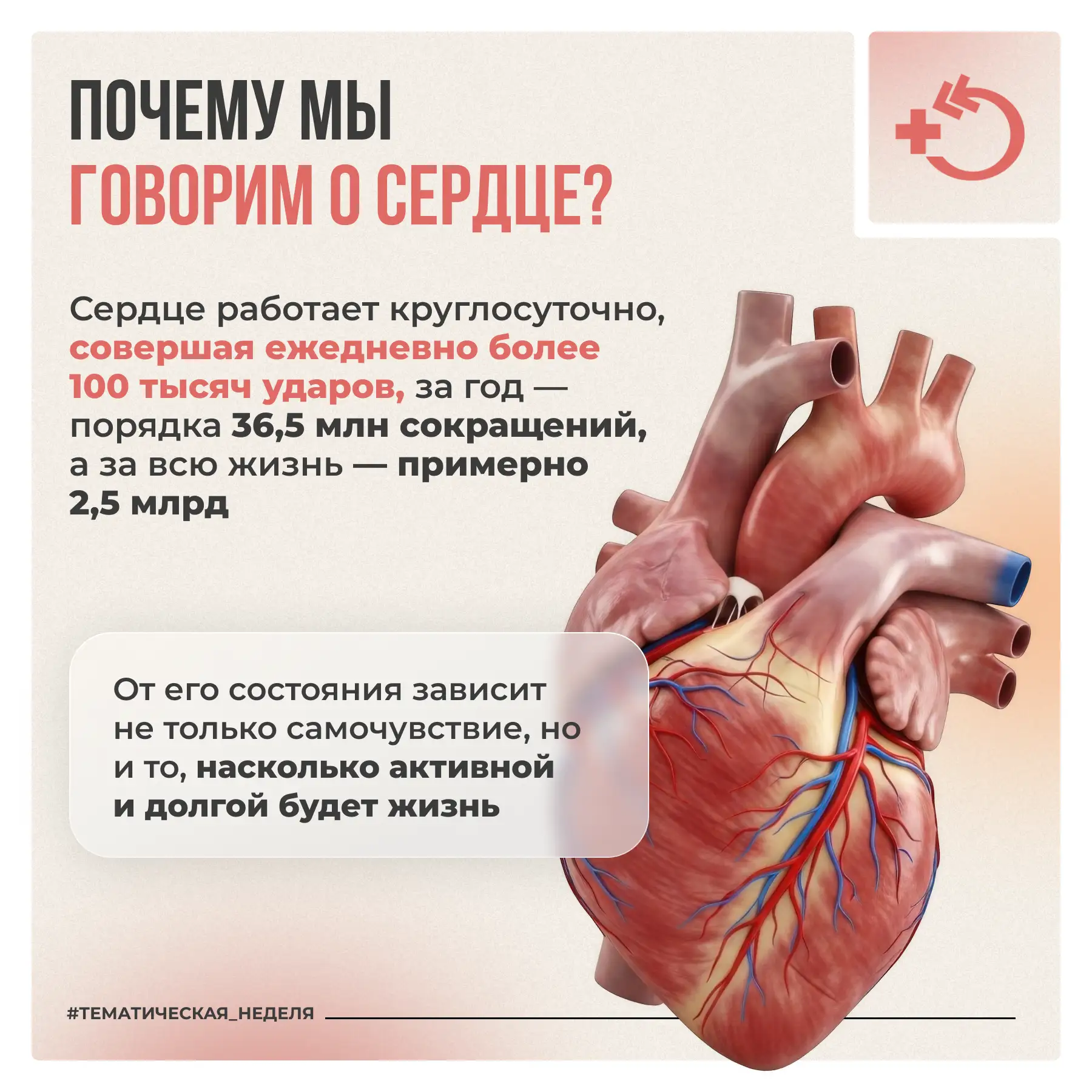 🫀 Сердце – ключевой орган организма, от его состояния зависит здоровье и продолжительность жизни. Ст