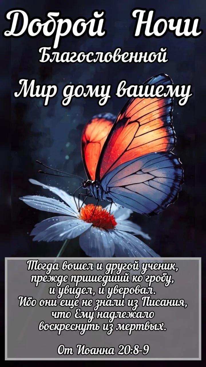 #Ночь