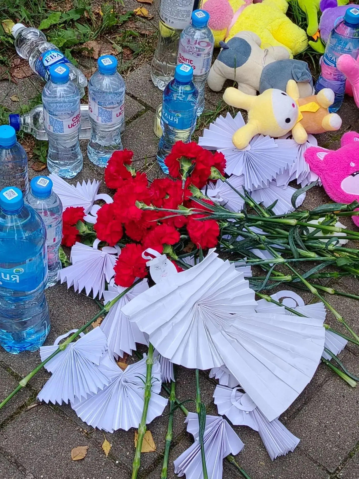 🙏Сегодня, 3 сентября, наша школа присоединилась к скорбной дате — Дню солидарности в б...
