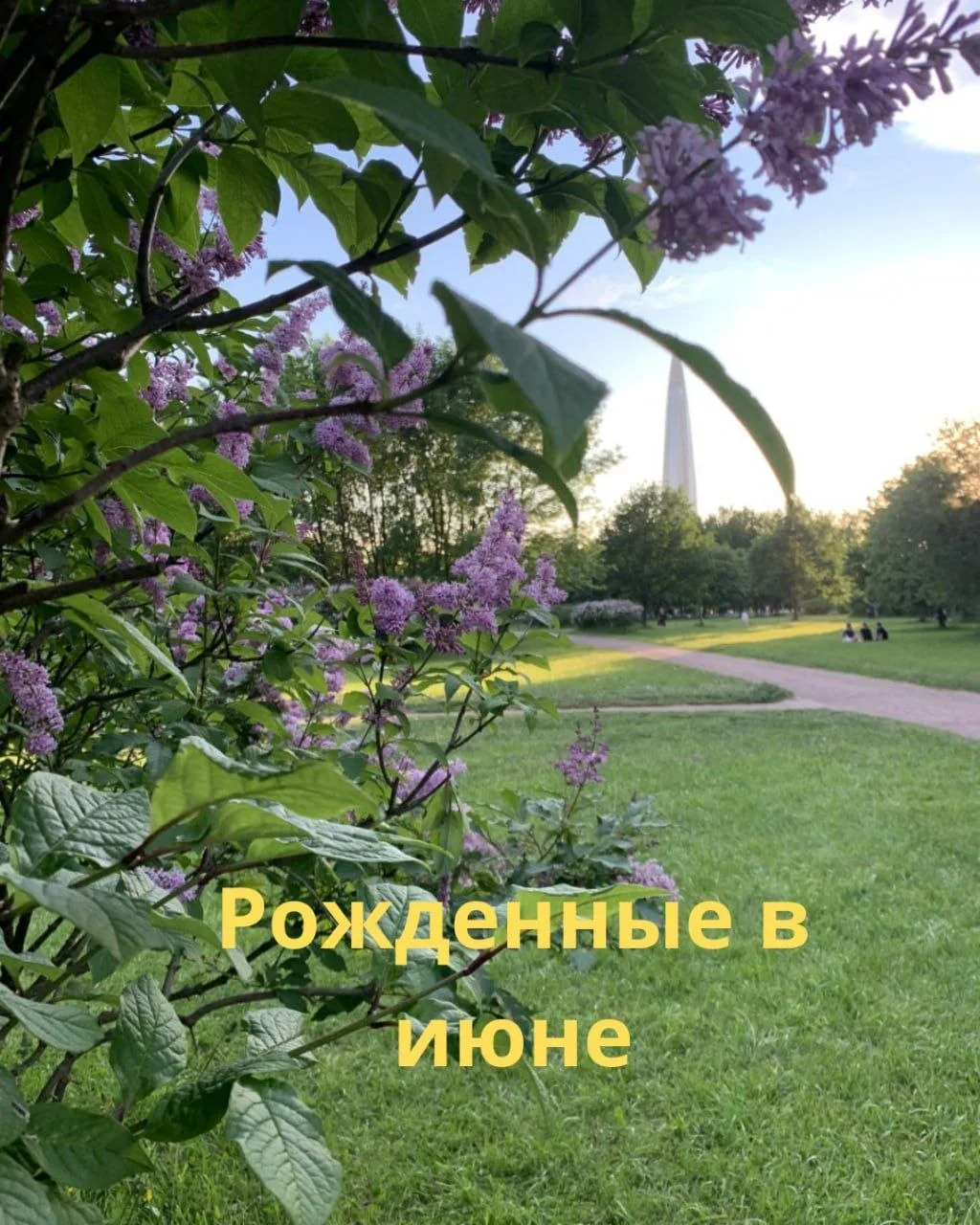 #рожденные_в

Рожденные в июне

Если вы или ваши близкие родились в июне, то в матрице обязательно е