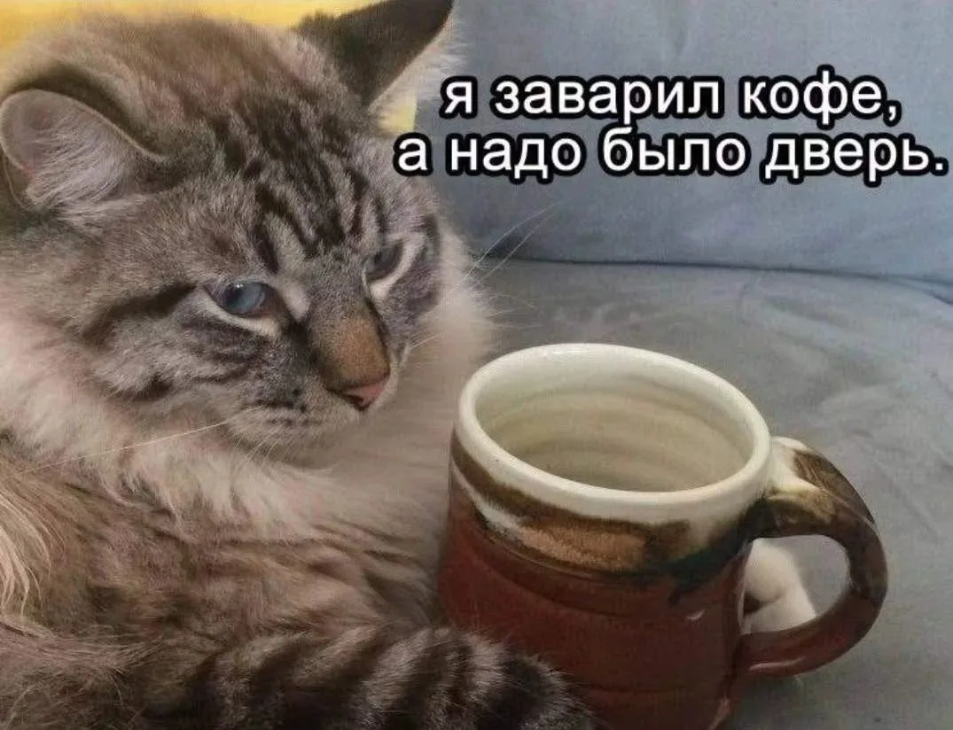 Кофеманы, общий сбор! Сегодня отмечается Международный день кофе.