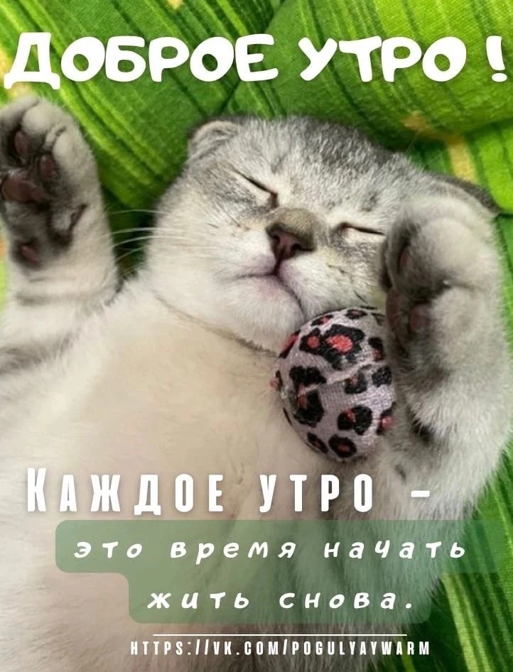 Красивые открытки❤️