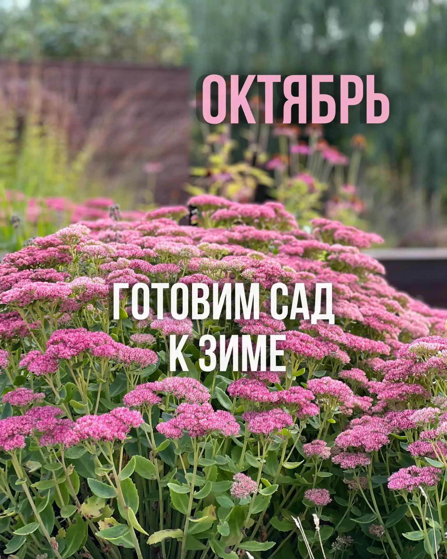 Что из этого списка вы уже сделали, а что предстоит сделать?
