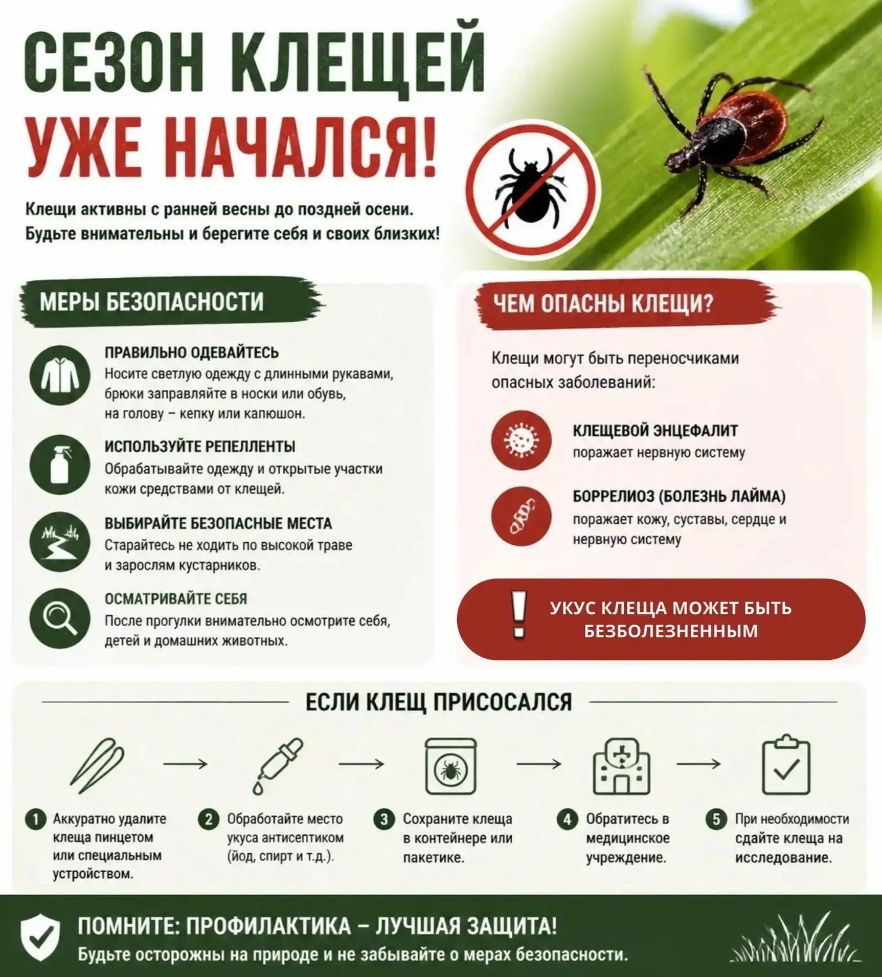 СЕЗОН КЛЕЩЕЙ НАЧАЛСЯ❗️