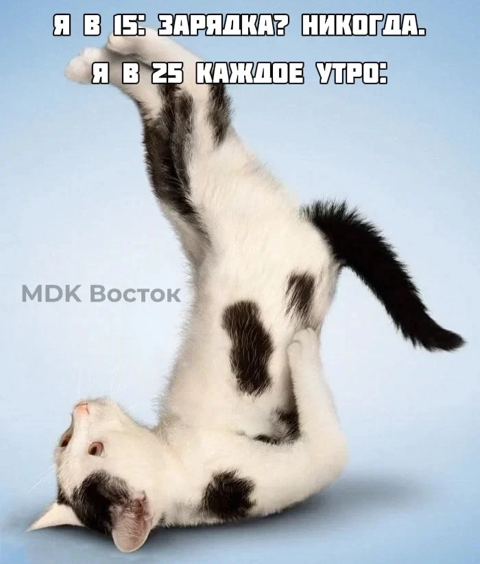 Без этого никуда