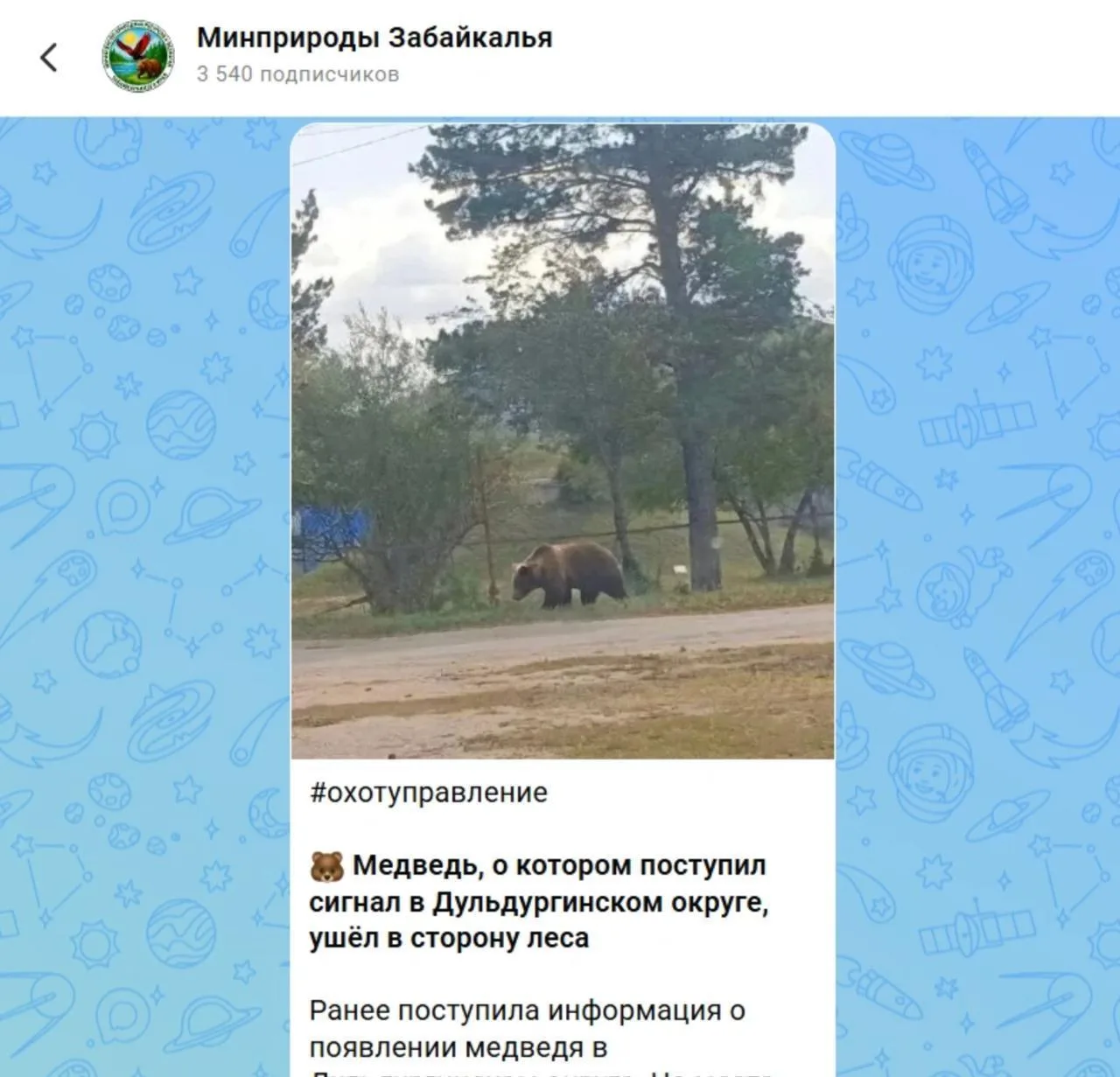 В Забайкалье у женщины конфисковали смартфон за ИИ-фото медведя.