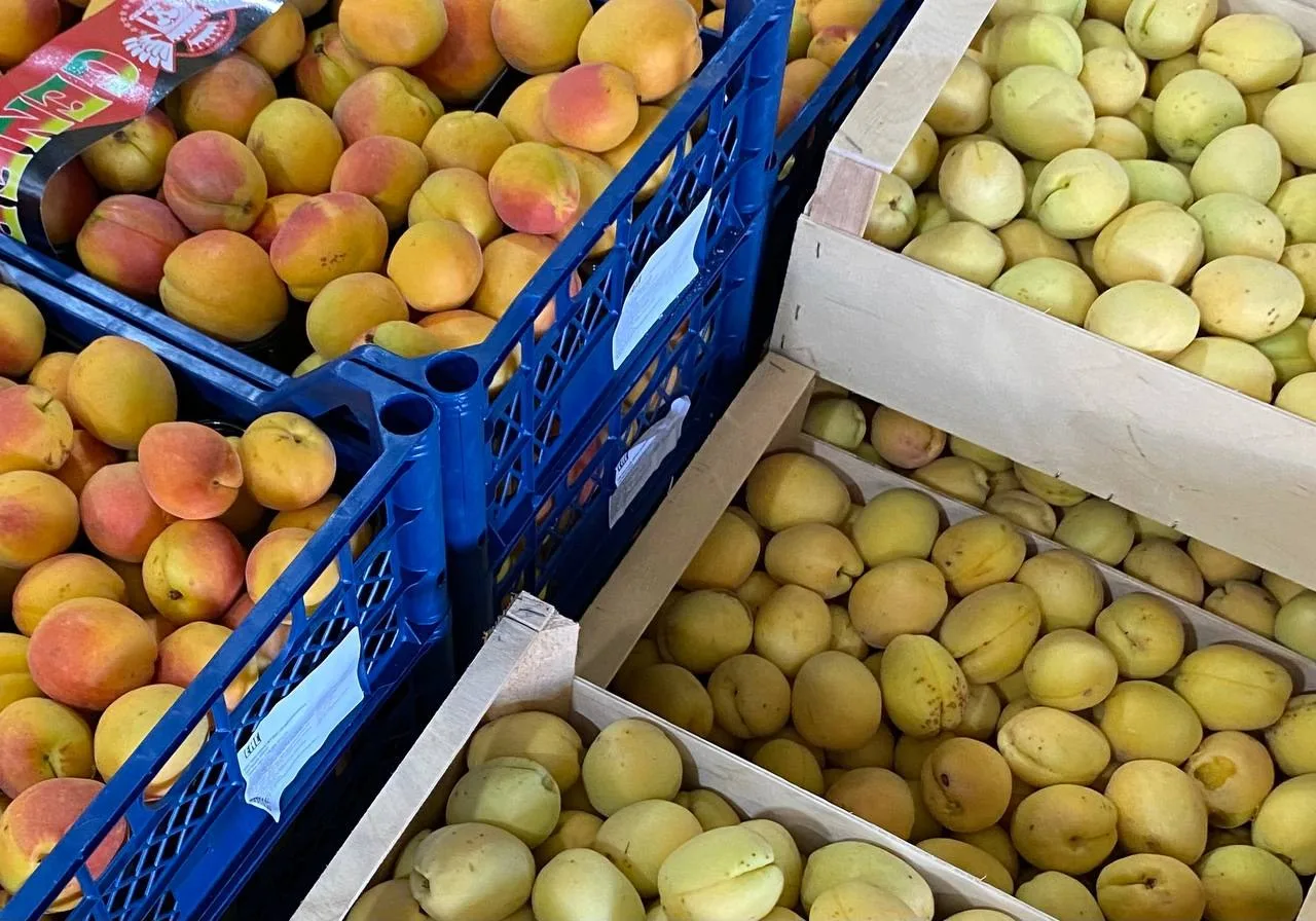 🍎 Владельца магазина «Гранат» в деревне Жилина оштрафовали за продажу просроченных про...