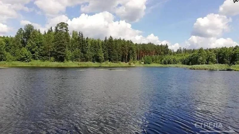 В Брянске на Флотской создадут набережную вдоль реки Десны