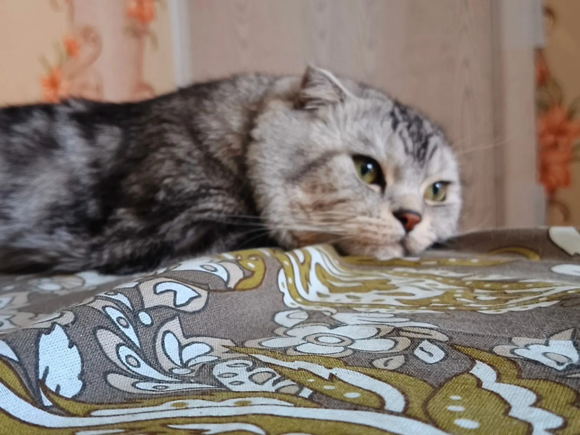Доброе утро Рябковцы!